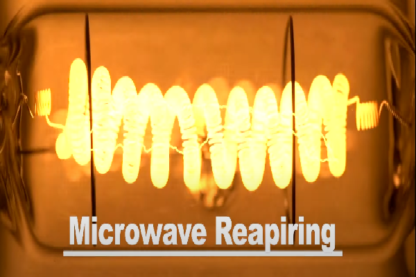 Microwave Repairing