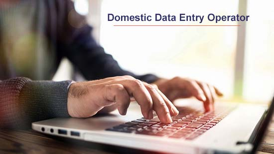 Domestic Data Entry Operator