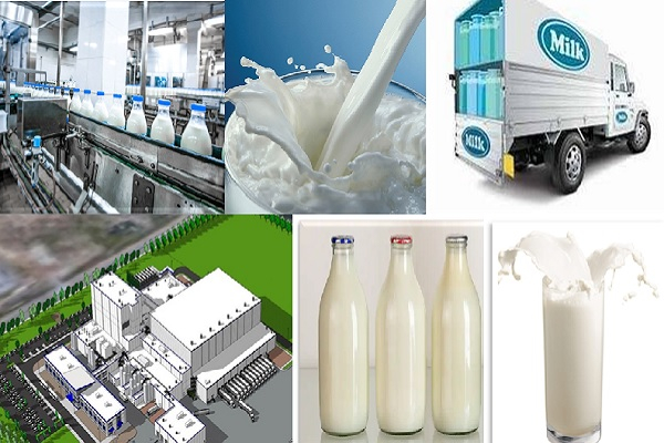 Milk Processing Business
