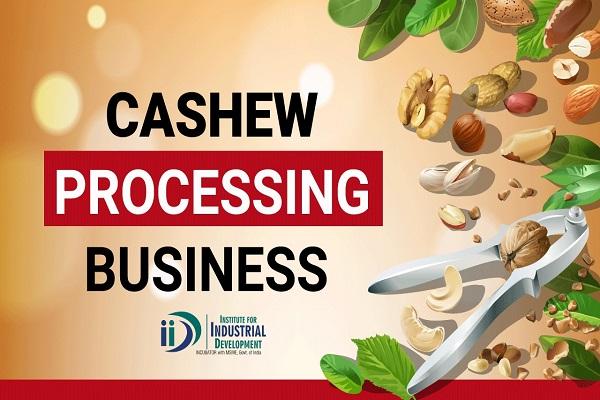Cashew Processing Units