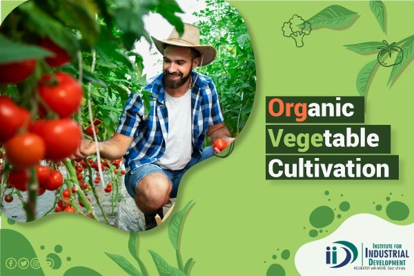 Organic Vegetable Cultivation