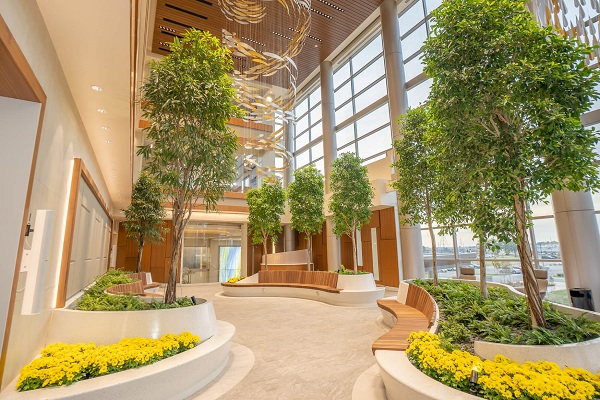 Biophilia as a way to control the indoor climate for human comfort