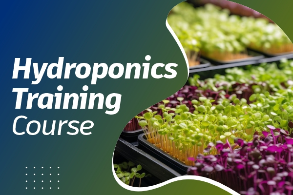 Hydroponics Business Course