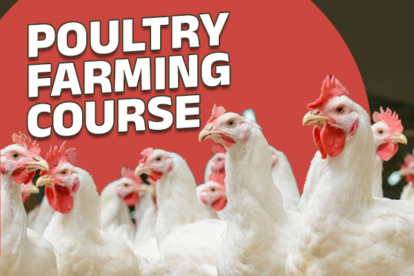 Poultry Farming Course