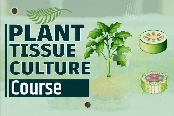 Plant Tissue Culture Course