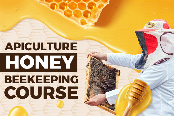 Apiculture (Honey Bee Keeping) Course