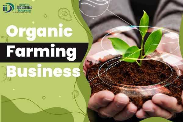 business plan of organic farming